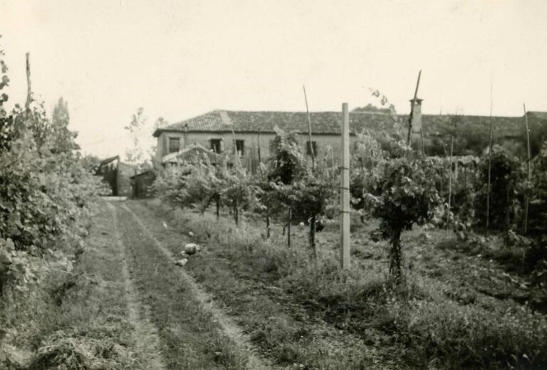 Campagna di Sopra della podesteria di Treviso