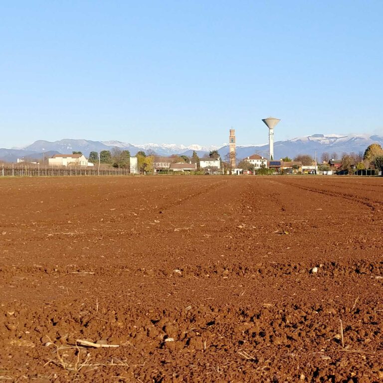 Caratteristiche del terreno di Barcon